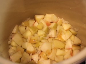 cooking onion and apple