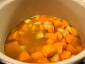 squash and stock
